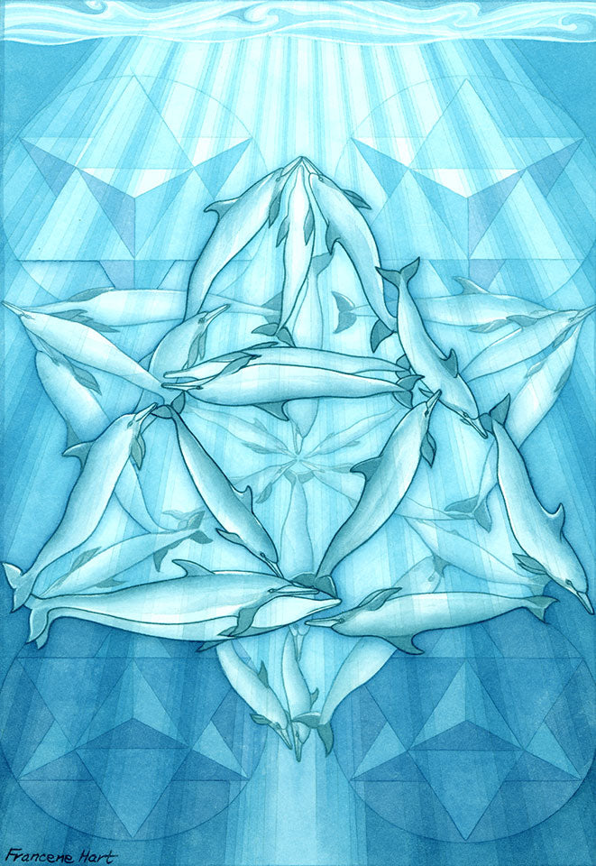 Dolphin-Merkaba