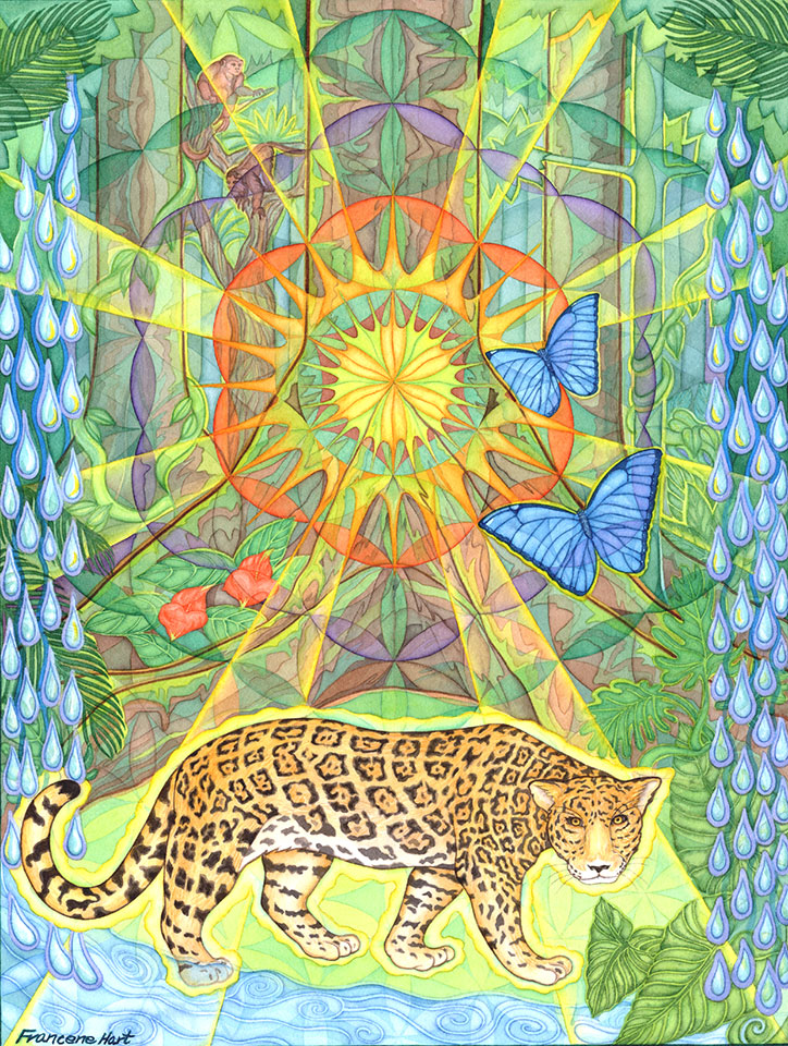 Jaguar-Guide