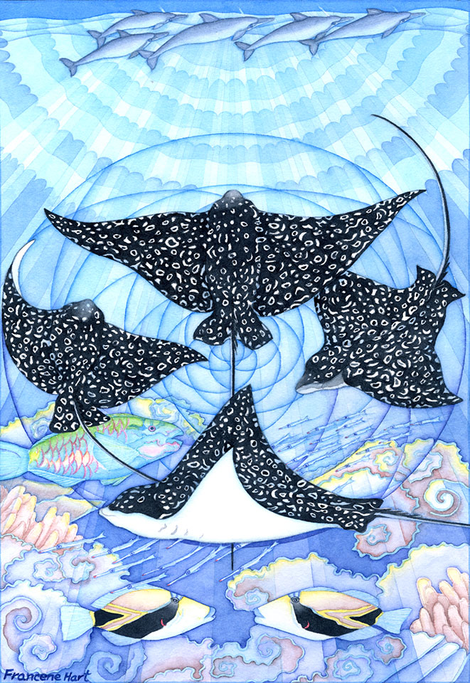 Reef-Neighbors-II